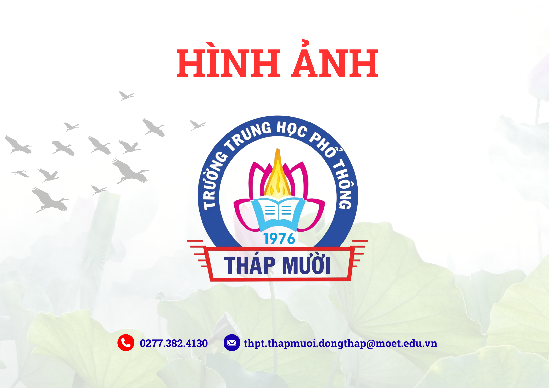 Thư viện 2